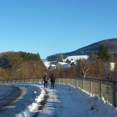Diemelsee Vor Willingen By Interhome * Heringhausen