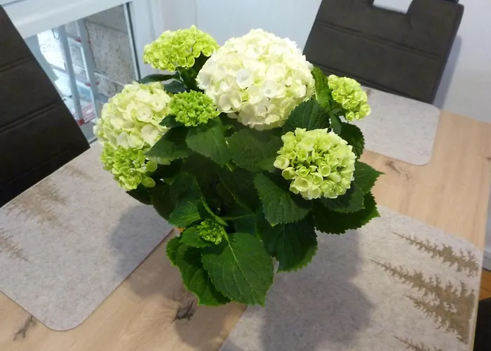 Hébergement de vacances Ferienhas Diemelsee By Interhome Heringhausen