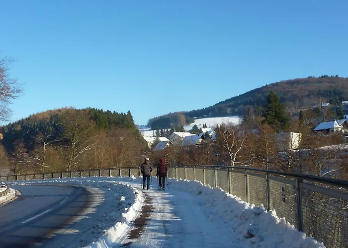 Ferienhas Diemelsee By Interhome * Heringhausen