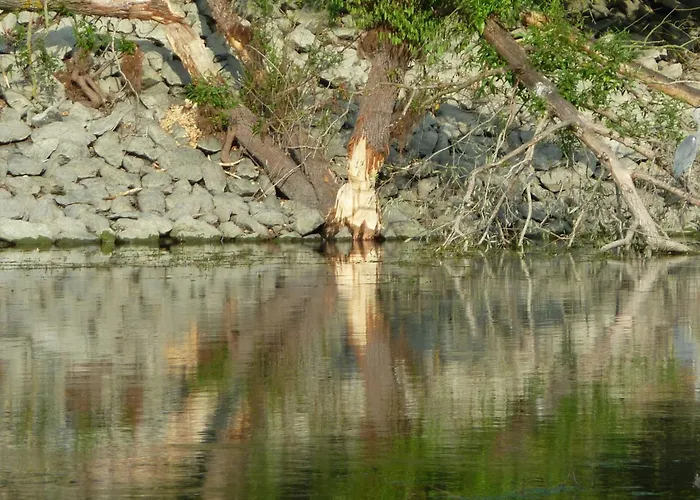 Ferienhas Diemelsee By Interhome *